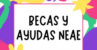 Beca 6000 (1)